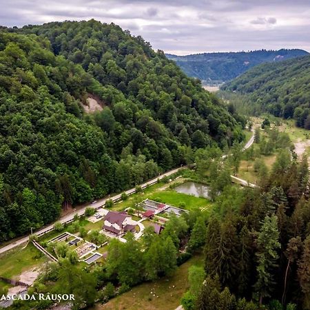Pastravaria Cascada Rausor Hotel Berevoesti Екстериор снимка