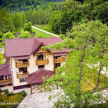 Pastravaria Cascada Rausor Hotel Berevoesti Екстериор снимка