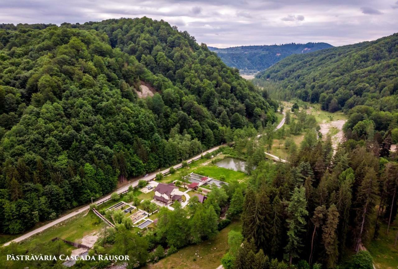 Pastravaria Cascada Rausor Hotel Berevoesti Екстериор снимка